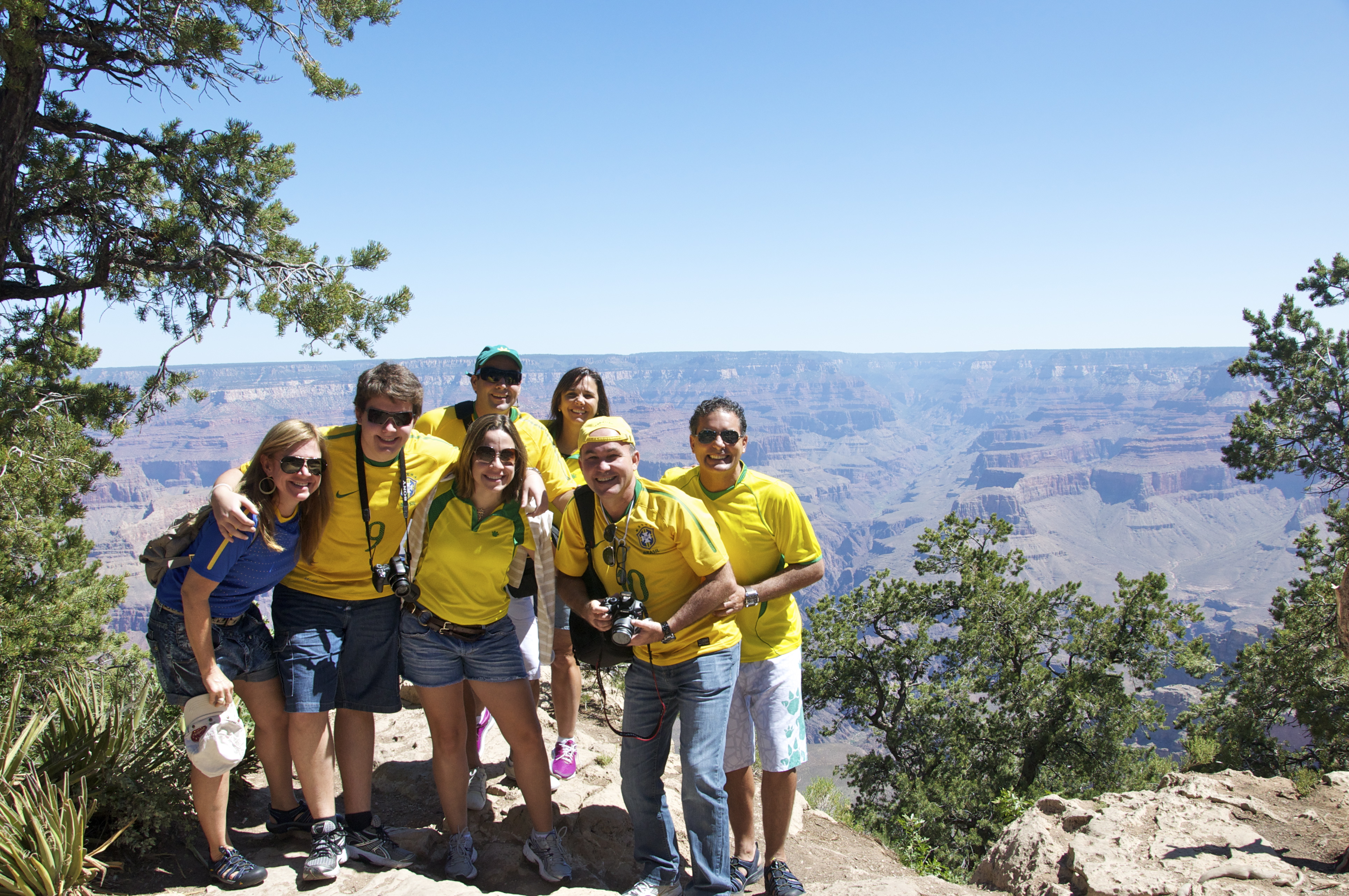 O grupo completo - Joaquim Nery O grupo completo