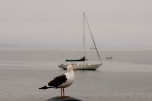 DSC_0199