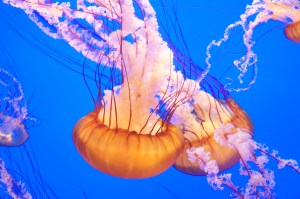 DSC_0507_2