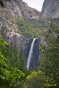 DSC_0873