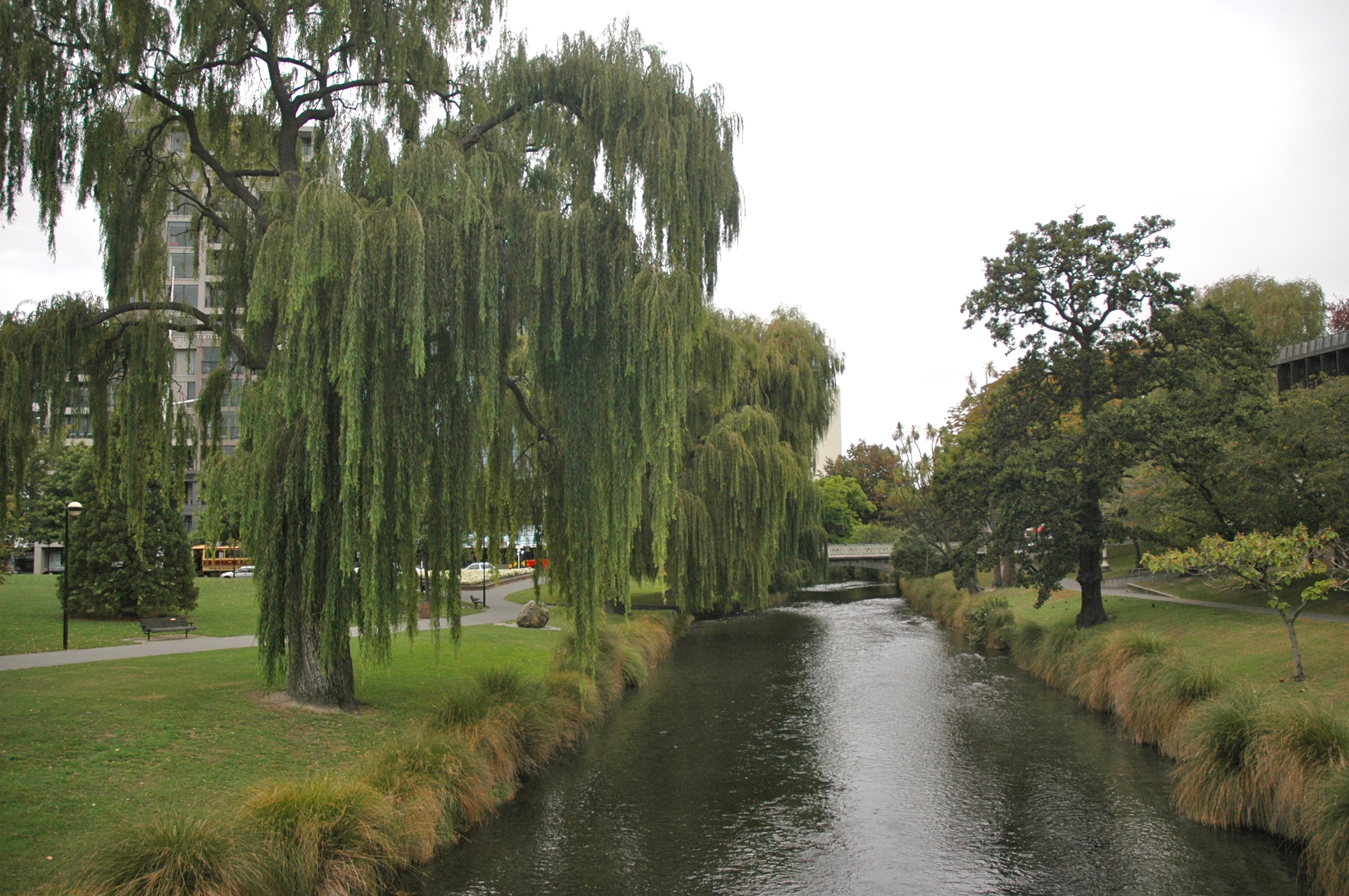 Avon River - Joaquim Nery Avon River