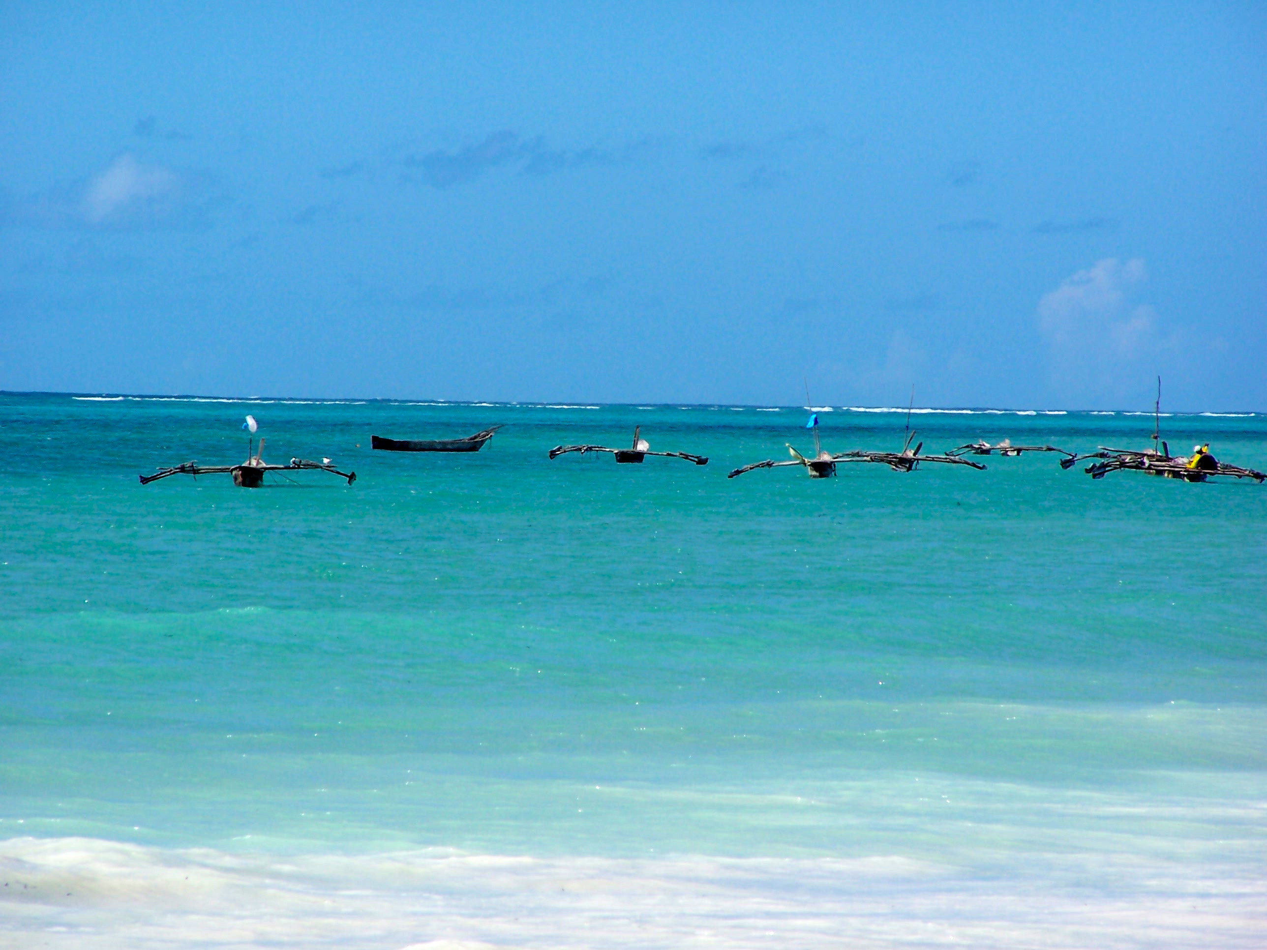 O azul de Zanzibar - Joaquim Nery O azul de Zanzibar