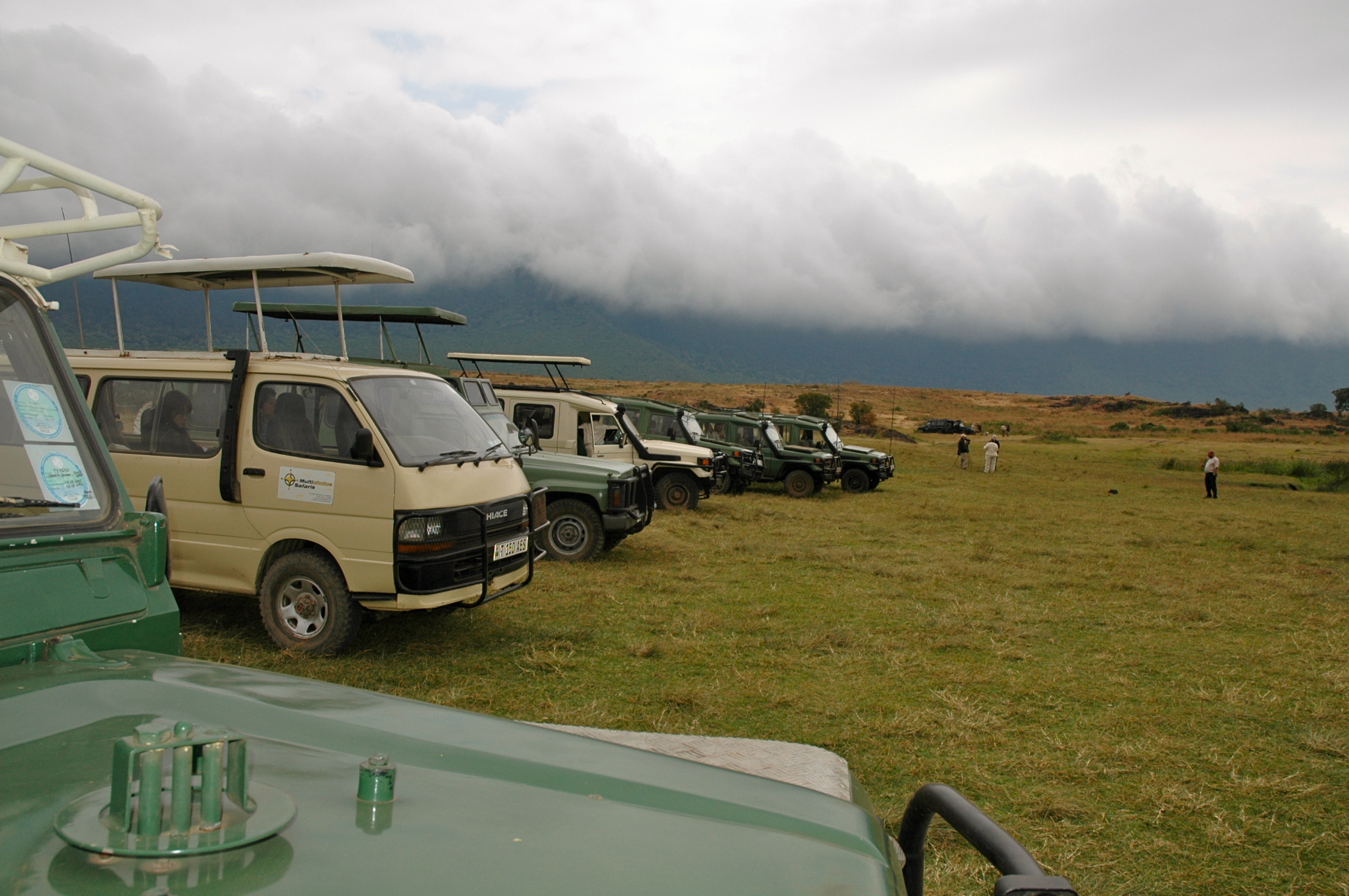 Cratera do Ngorongoro - Joaquim Nery Cratera do Ngorongoro