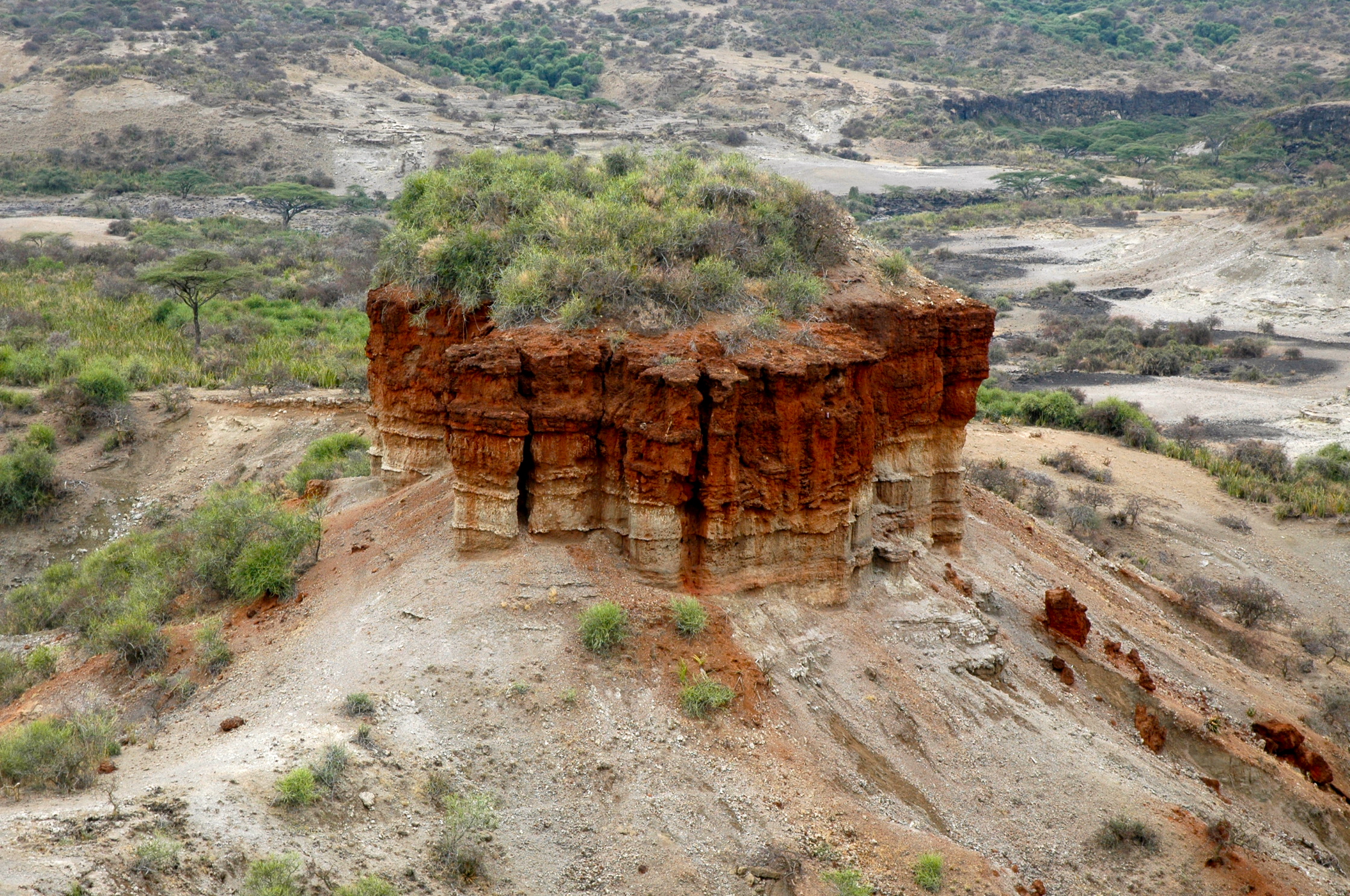 O caminho para o Serengeti - Joaquim Nery O caminho para o Serengeti