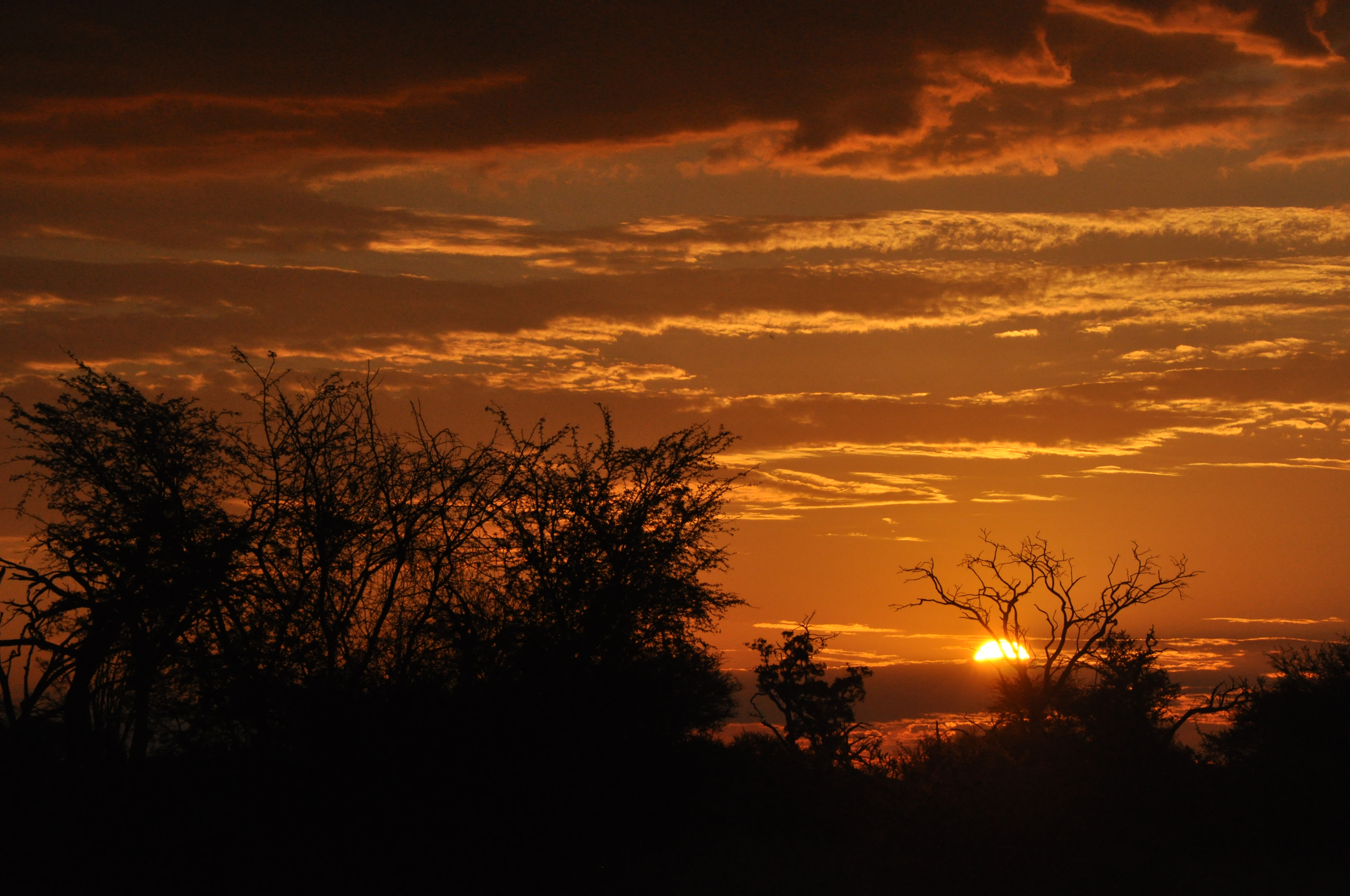 O pôr-do-sol da África - Joaquim Nery O pôr-do-sol da África