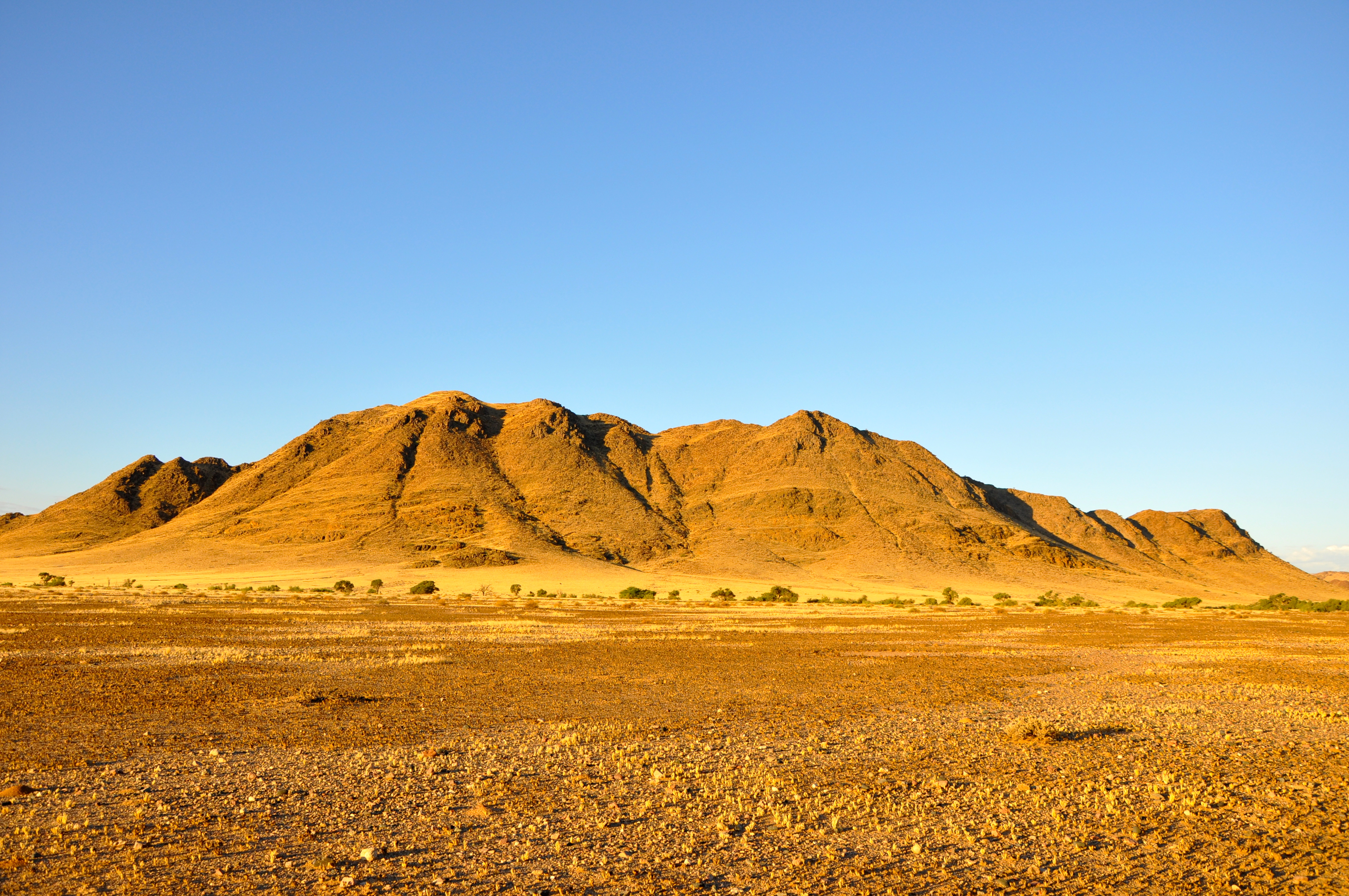 Esse pedaço da África já foi ligado ao Sul do Brasil - Joaquim Nery Esse pedaço da África já foi ligado ao Sul do Brasil