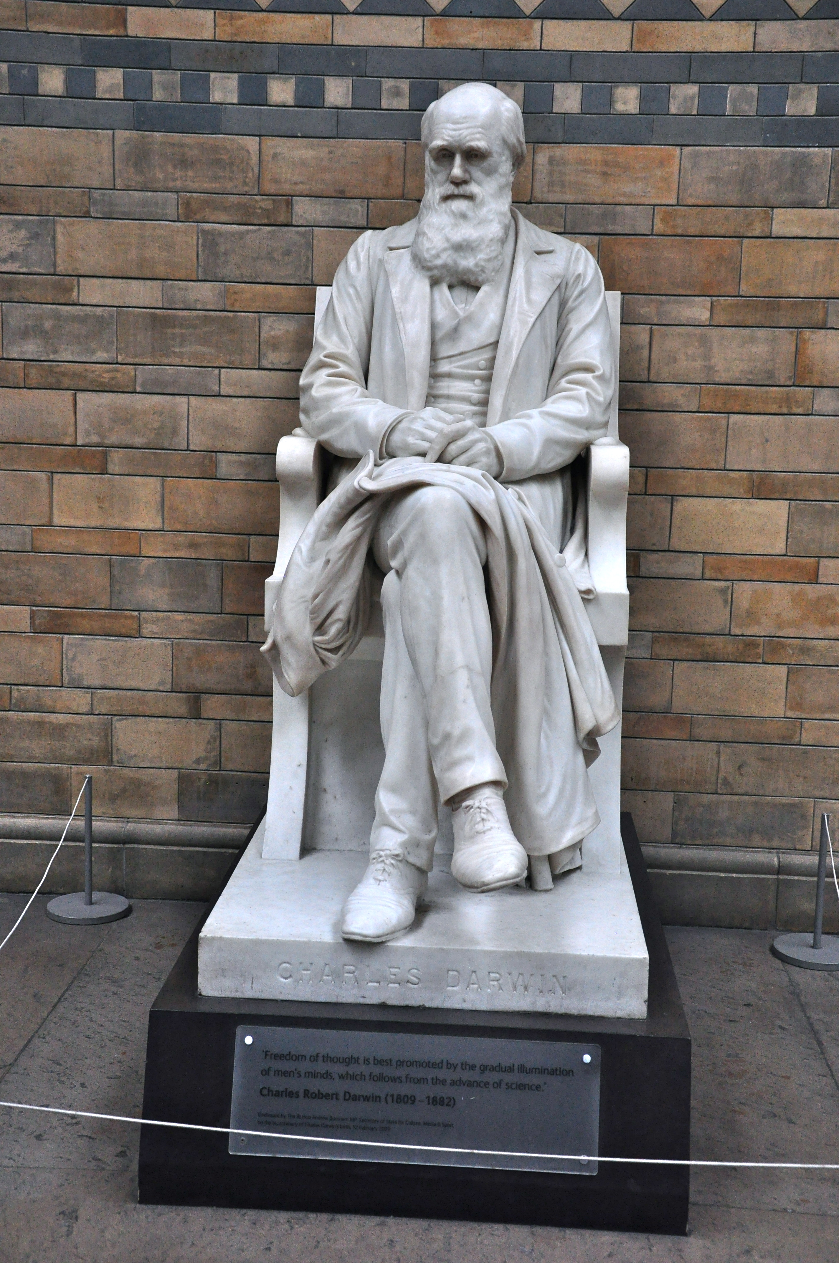 A estátua de Charles Darwin no Museu de História Natural - Joaquim Nery A estátua de Charles Darwin no Museu de História Natural