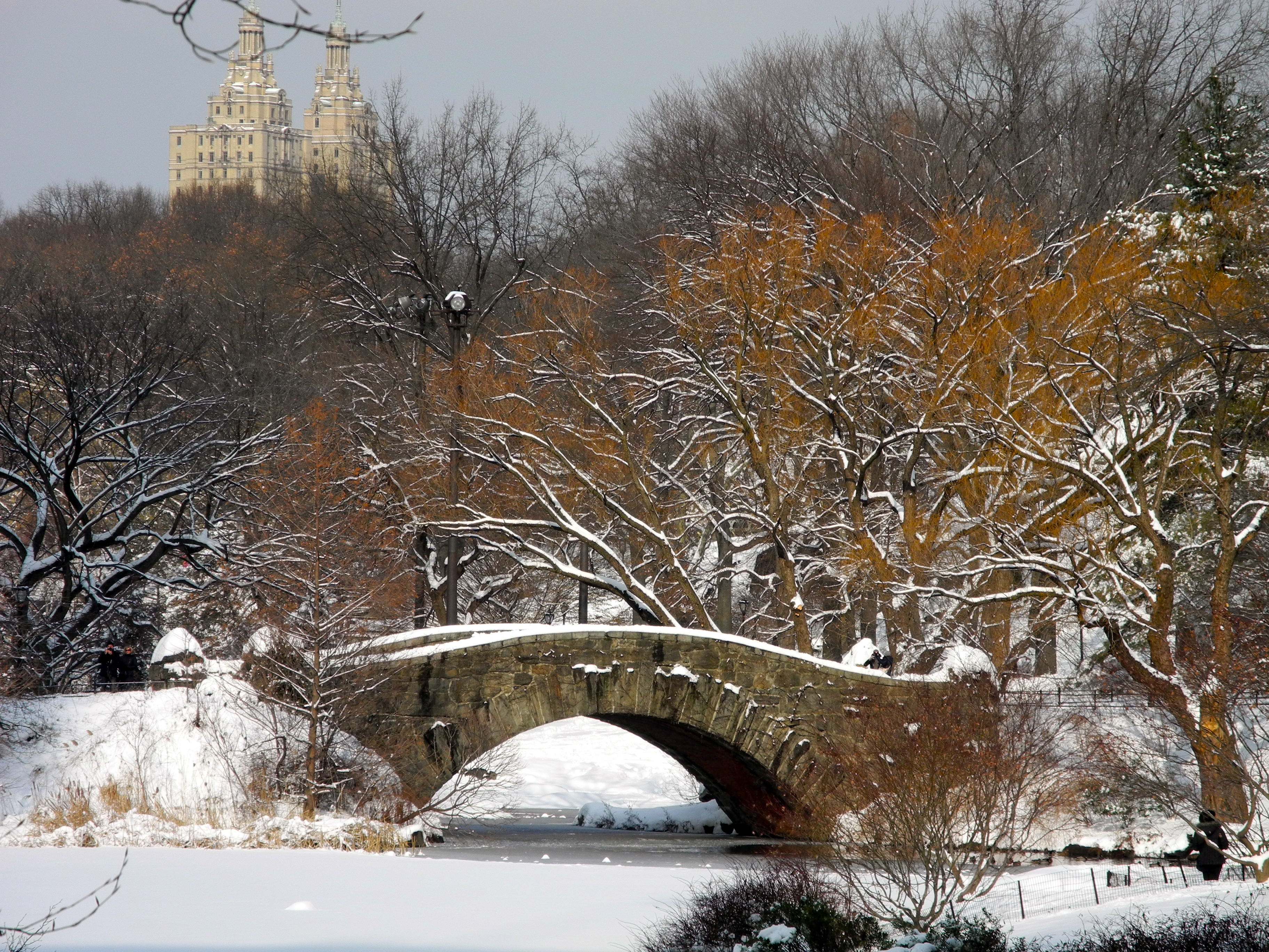 A neve no Central Park - Joaquim Nery A neve no Central Park