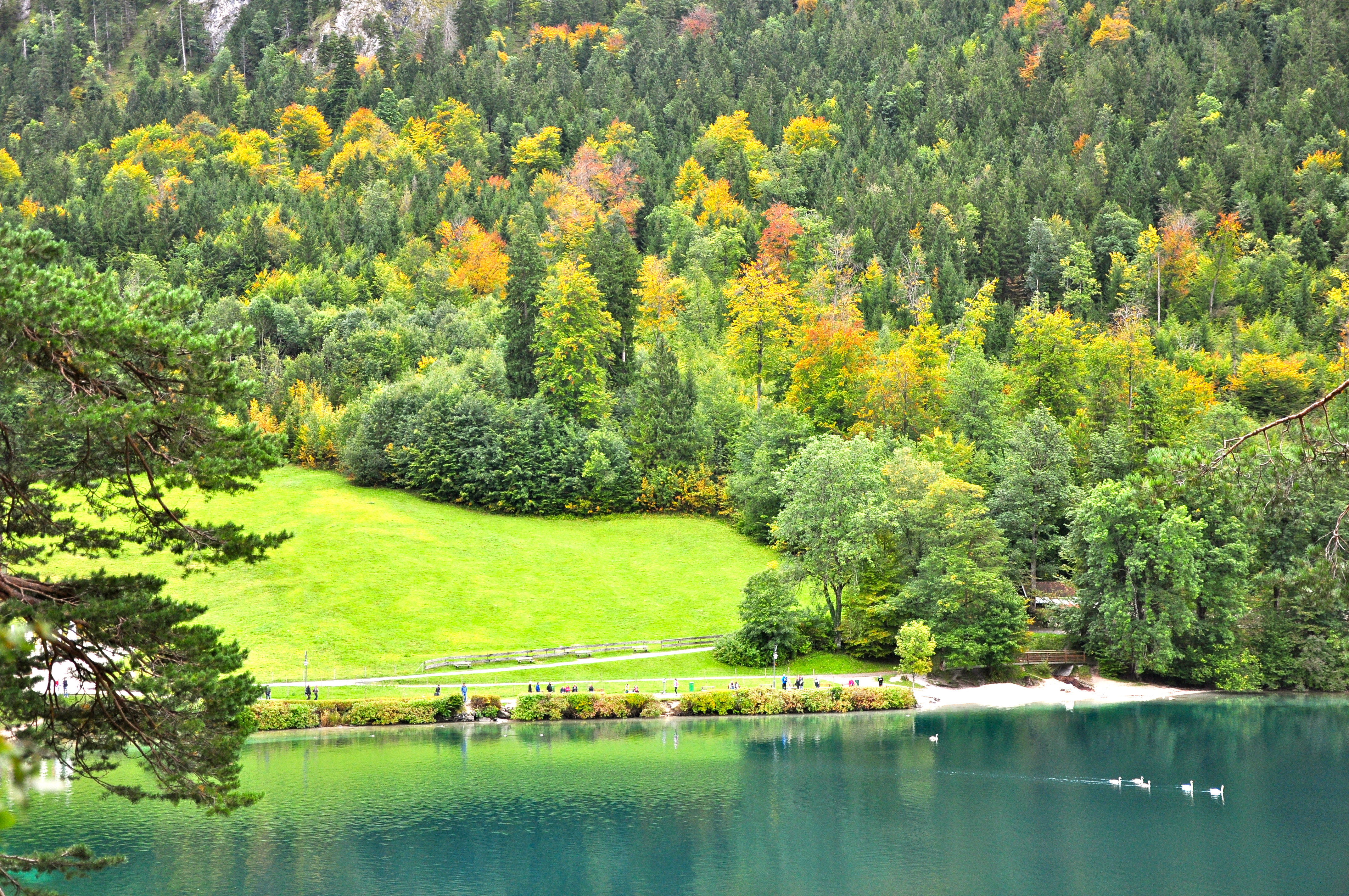 A paisagem maravilhosa nos entornos do Castelo de Hohenschwangau