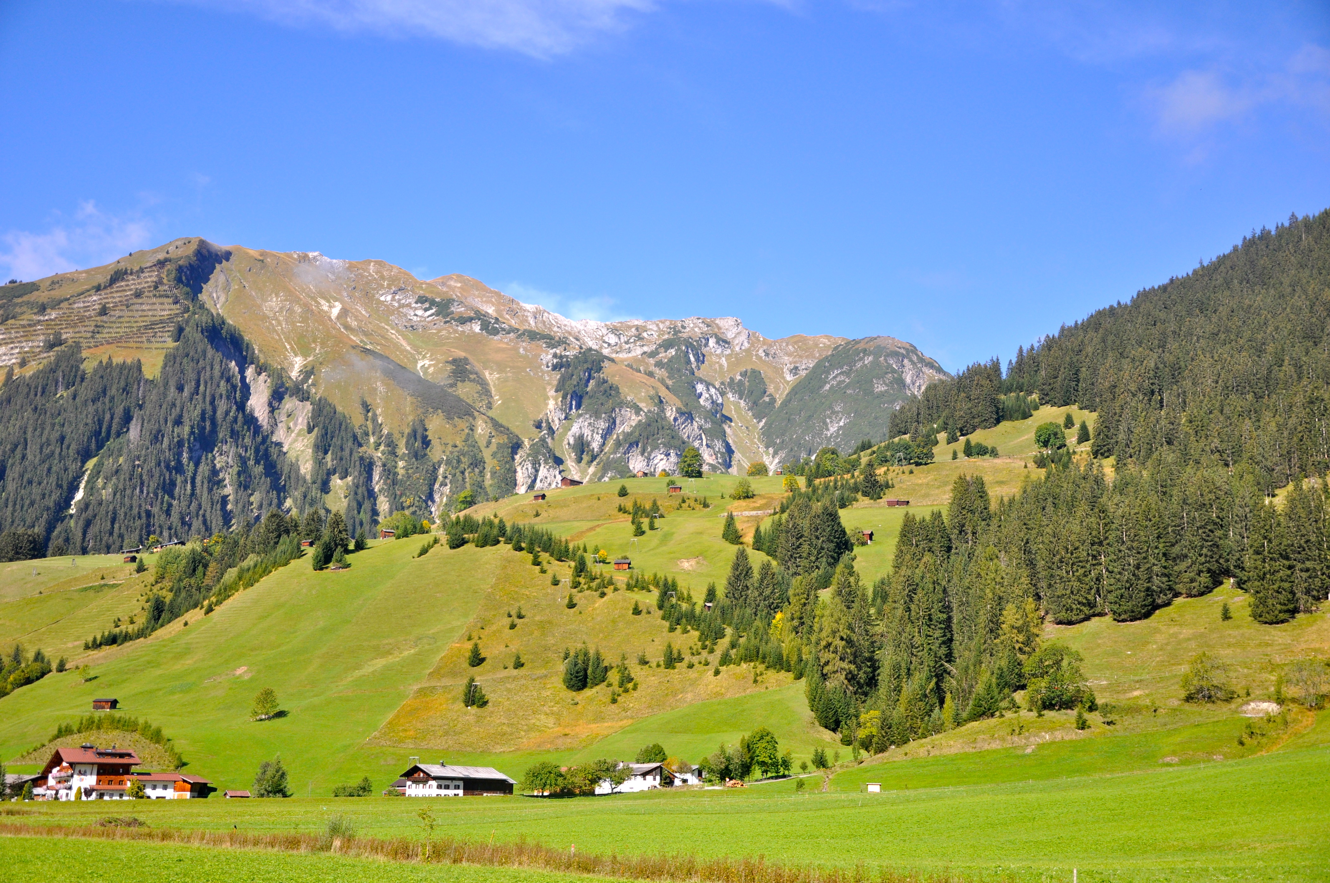 As fazendas de gado leiteiro se sucedem ao longo da estrada. 