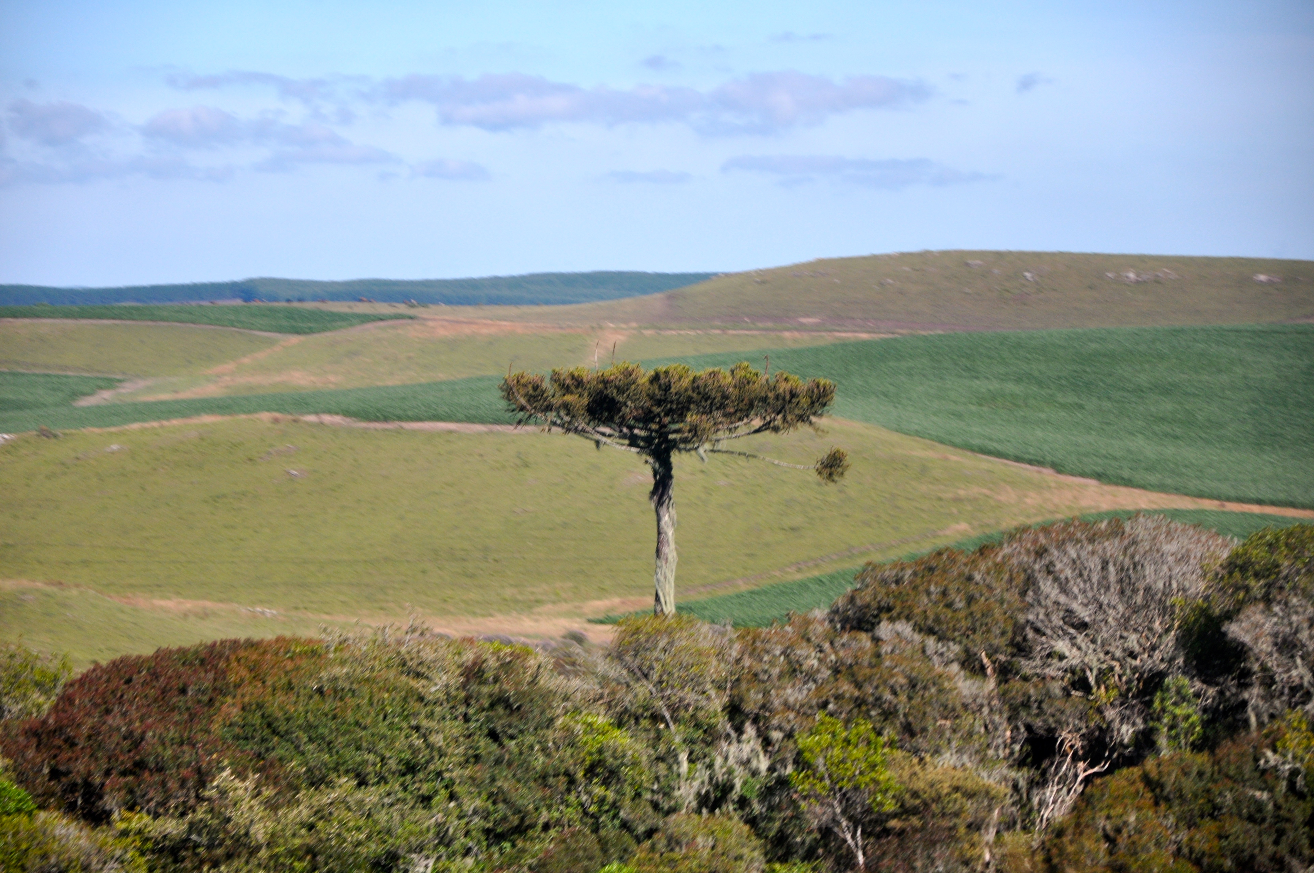 A paisagem dos Aparados da Serra