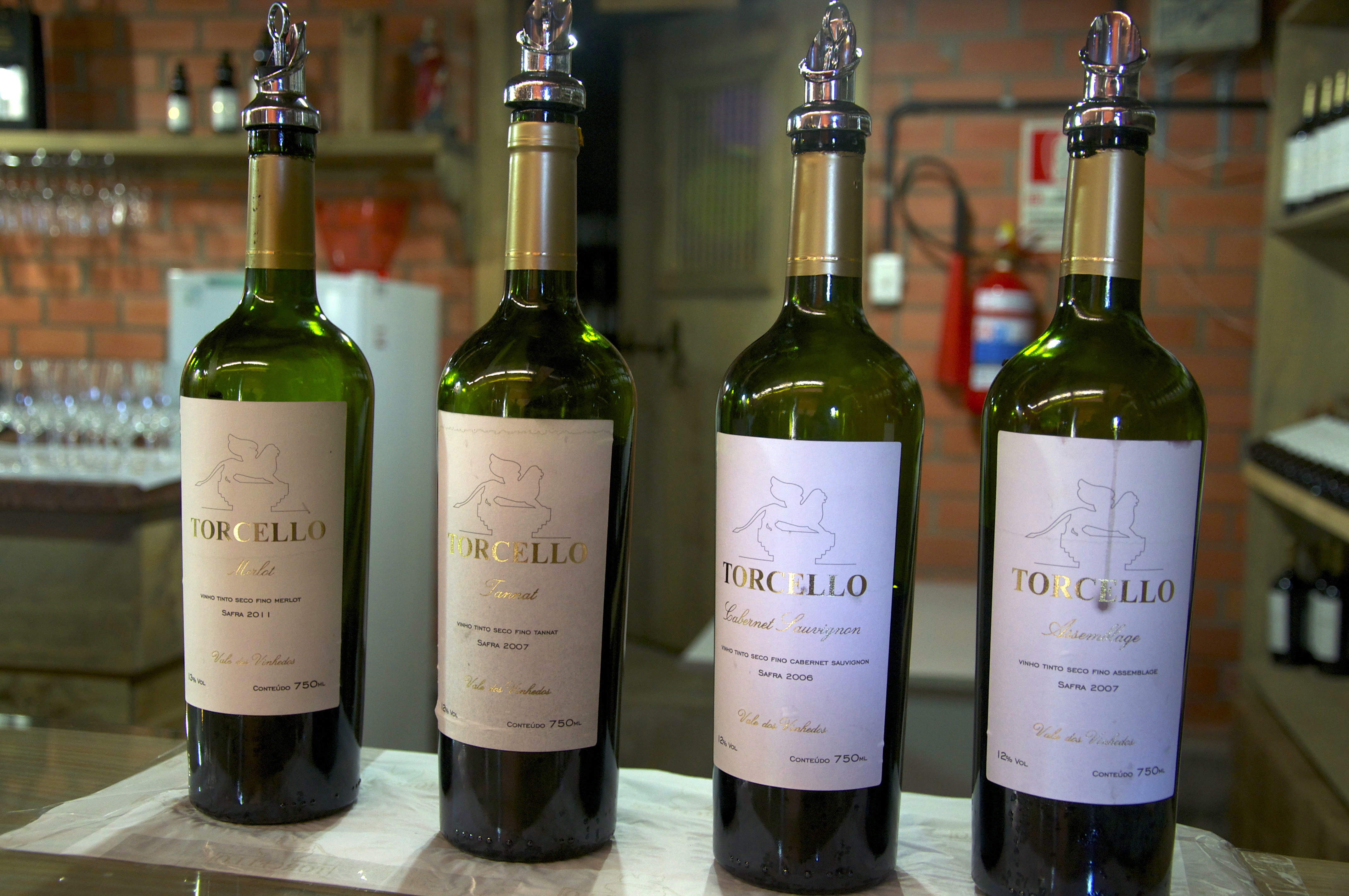 Degustação de vinhos na Vinícola Torcello.