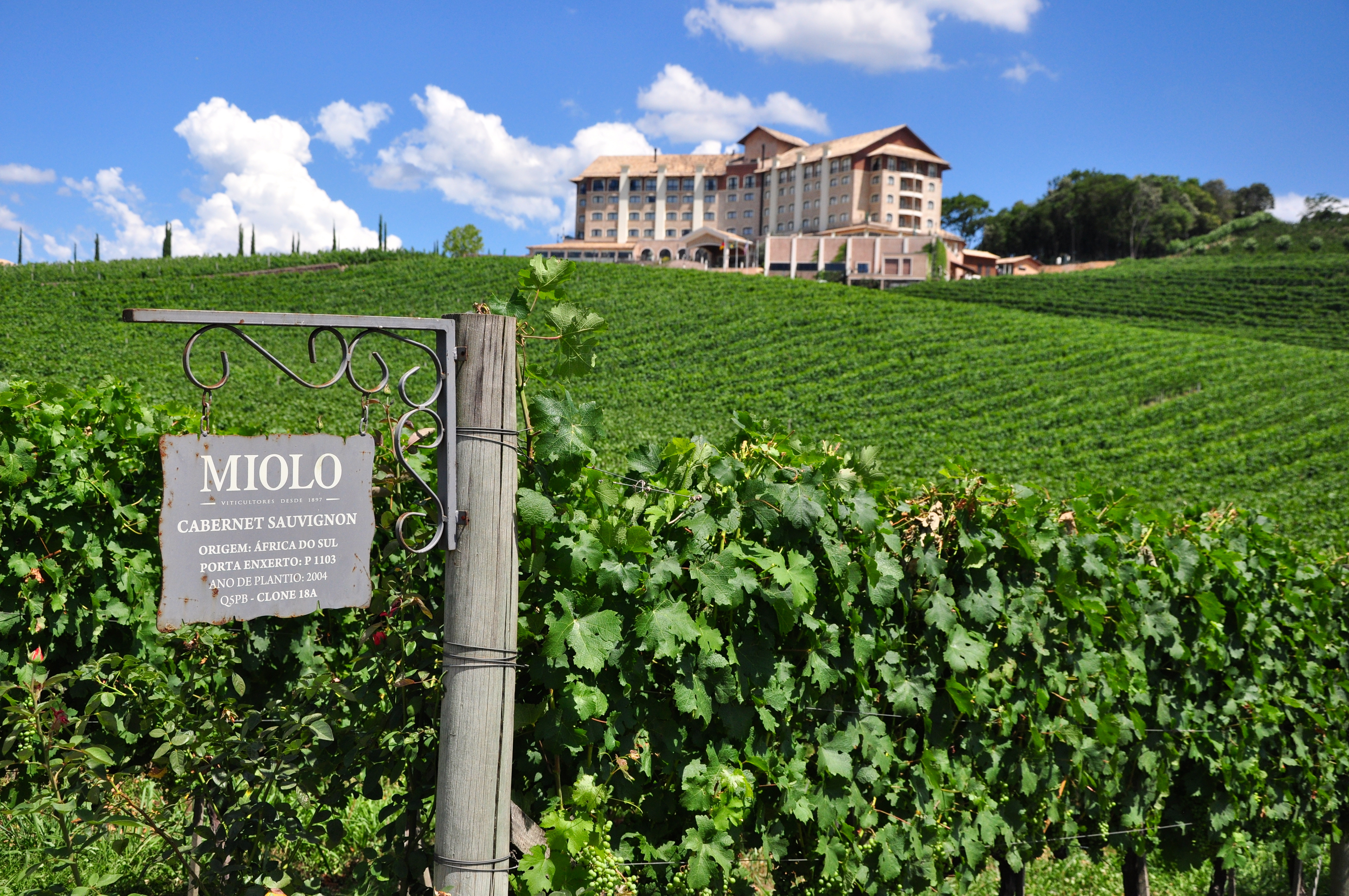 Hotel da Vinícola Miolo.