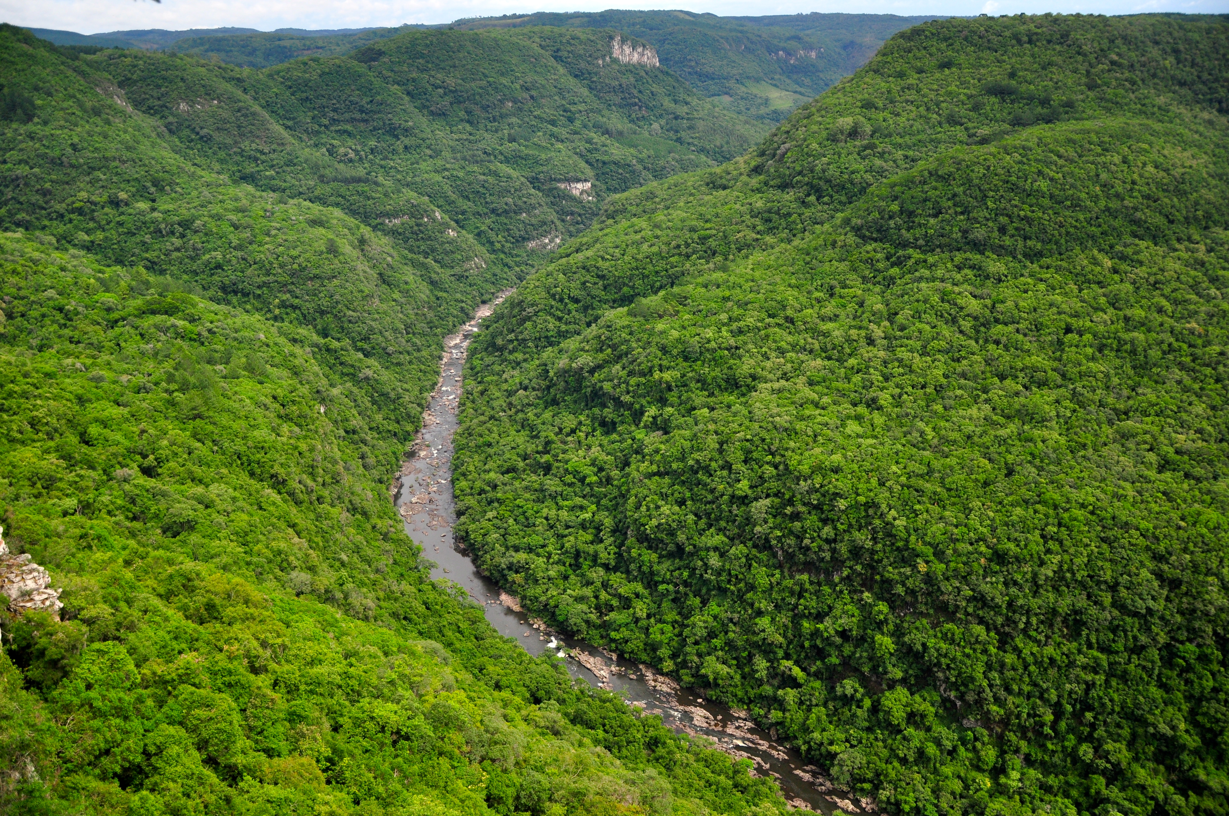 A vegetação exuberante do Parque da Ferradura