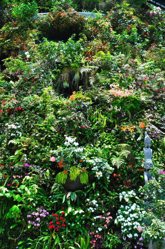 O jardim vertical do Cloud Forrest.