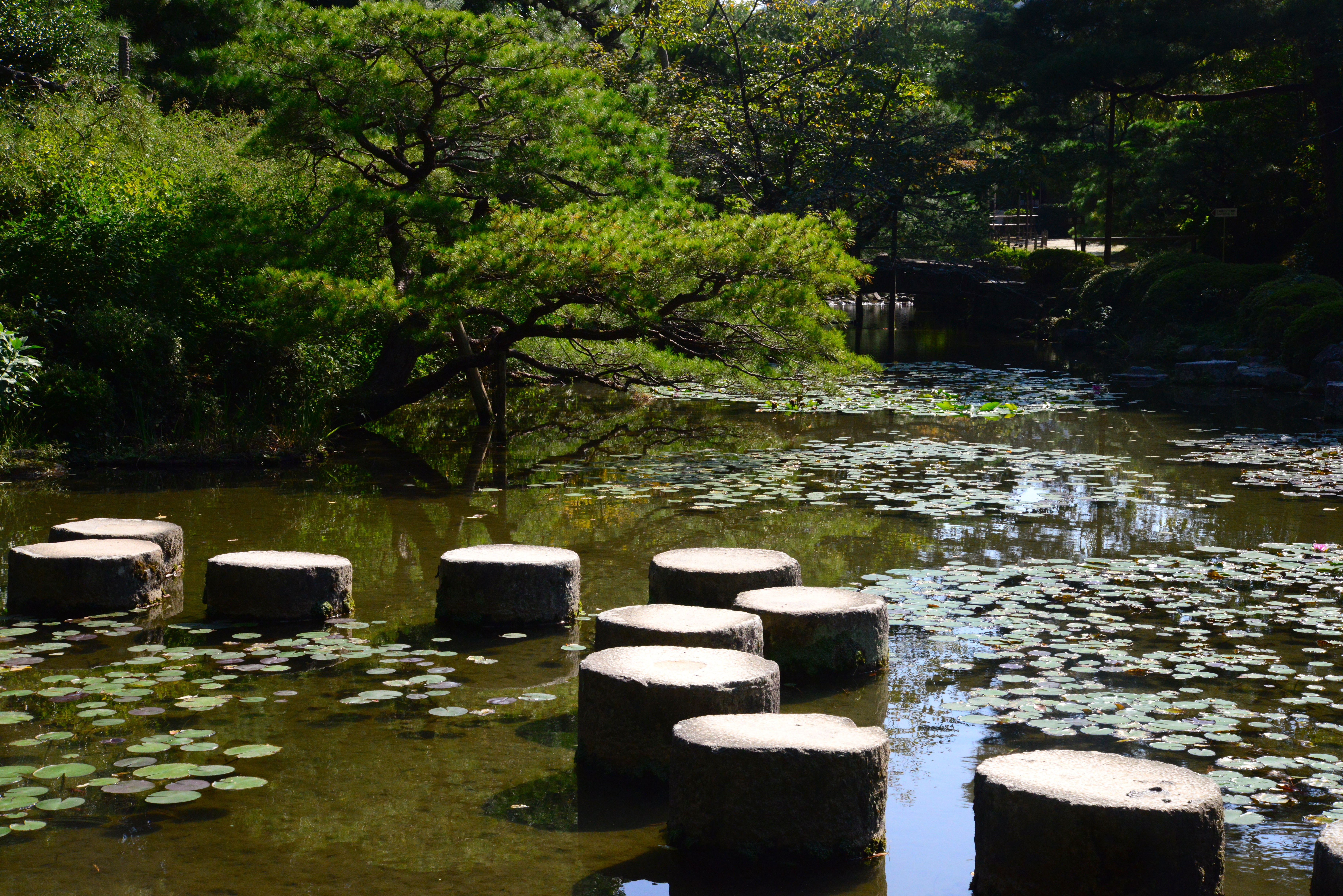 O Jardim do Templo Xintoísta Heian Jingu