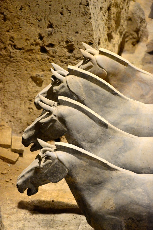 Cavalos de Terracota.