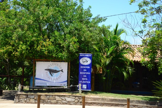 Instituto Baleia Jubarte