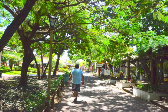 A vila da Praia do Forte.