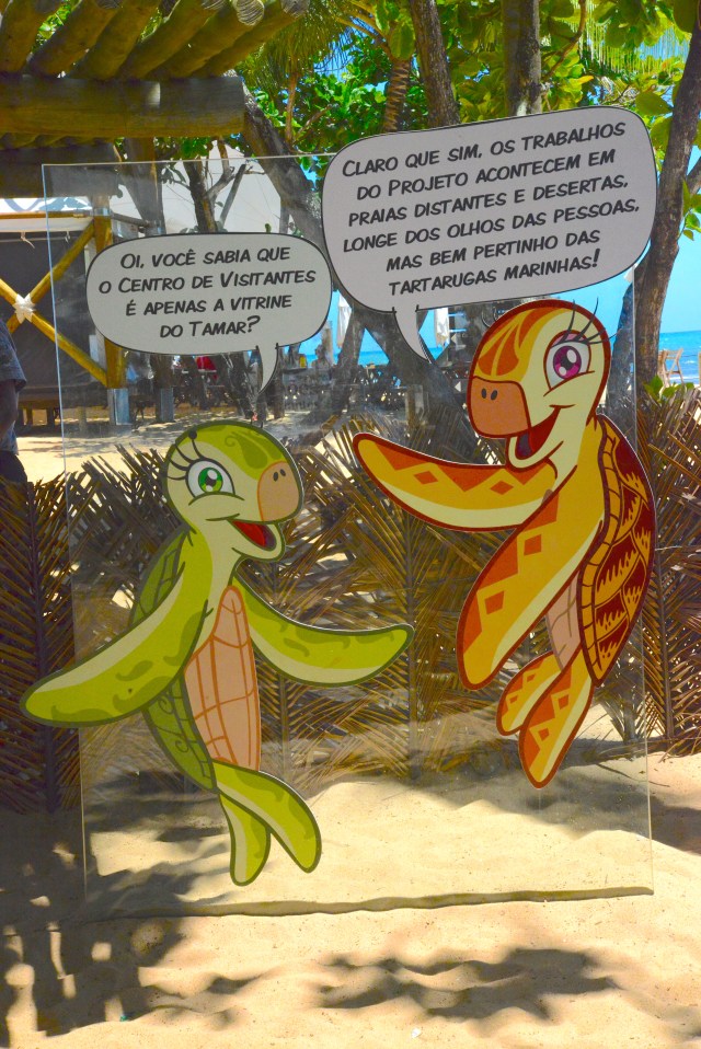 As crianças se divertem no Projeto Tamar.