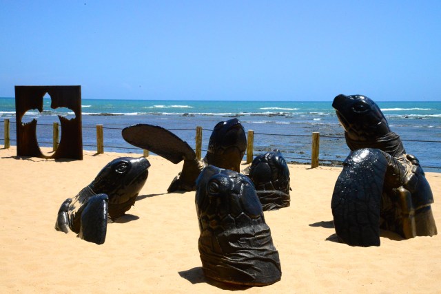 O Projeto Tamar na Praia do Forte.