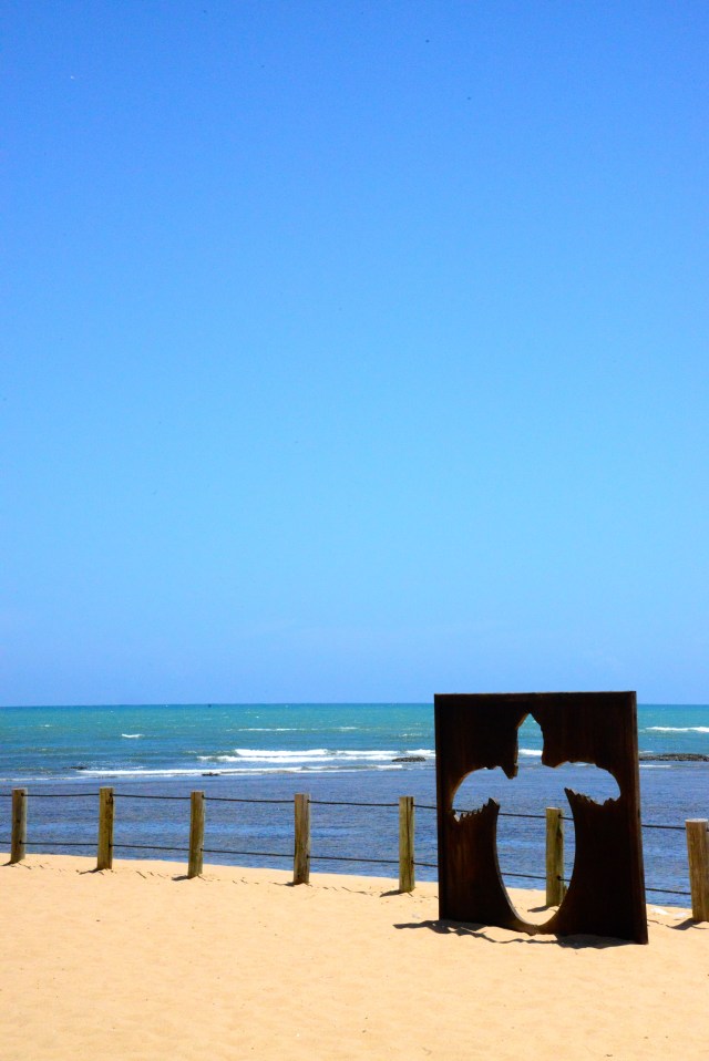 A Praia do Forte é um santuário de tartarugas.