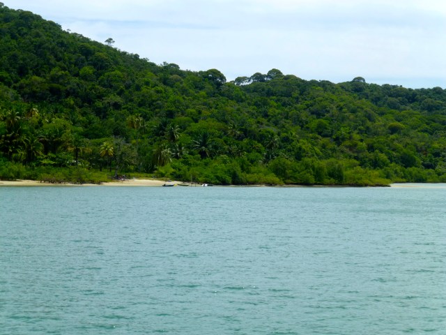 A Mata Atlântica na Praia do Saco