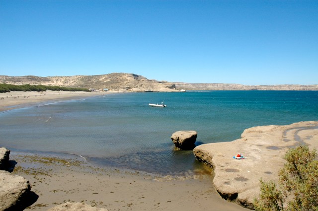 A Praia de Porto Pirâmide, o paraíso das baleia-franca-austral.