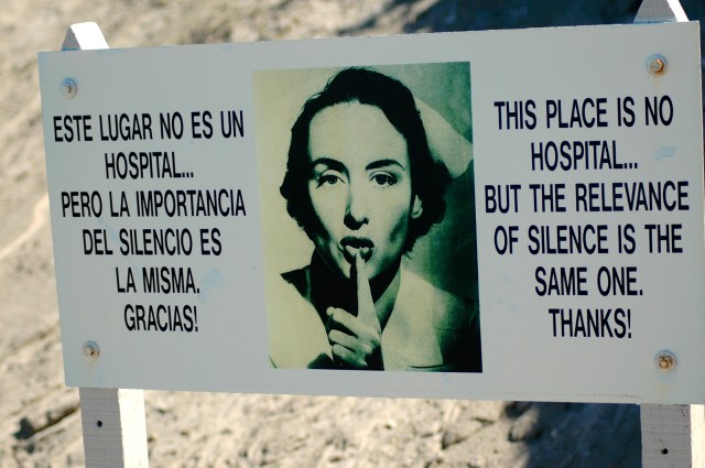 Local de reprodução de elefantes-marinhos.