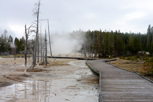 As passarelas de madeira conduzem os visitantes pelas principais atrações geotermais.