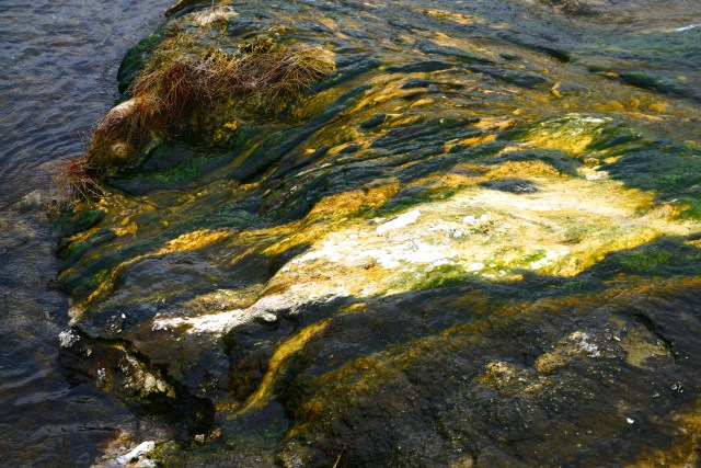 As cores vivas do Yellowstone.