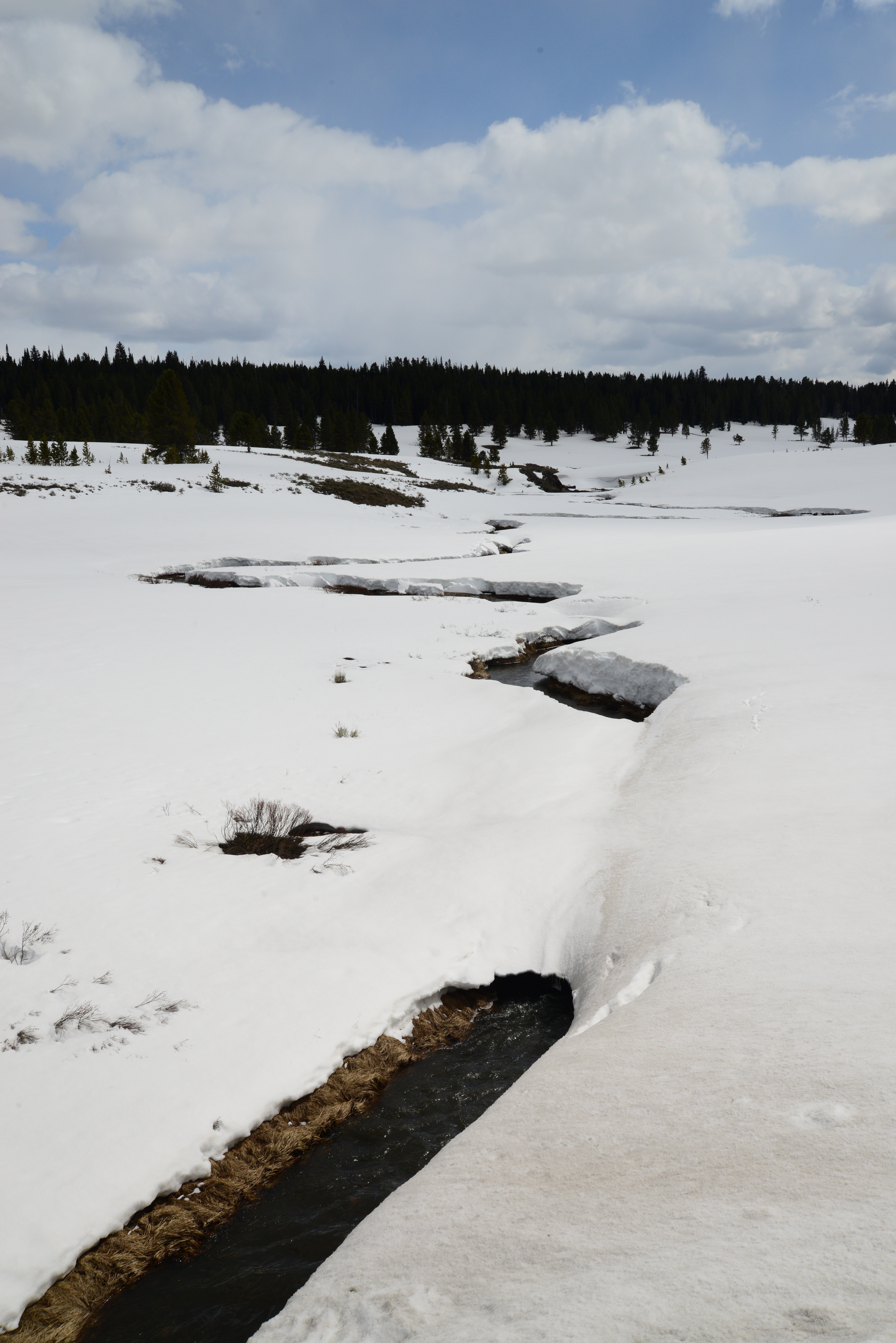 Muita neve e frio no Yellowstone.