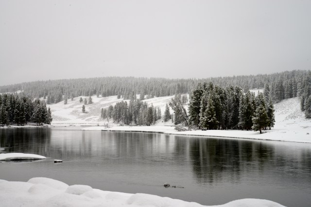 Começou a nevar forte no Yellowstone