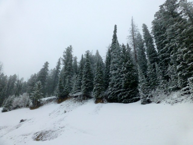 A estrada para Idaho, cruzando o Grand Teton.