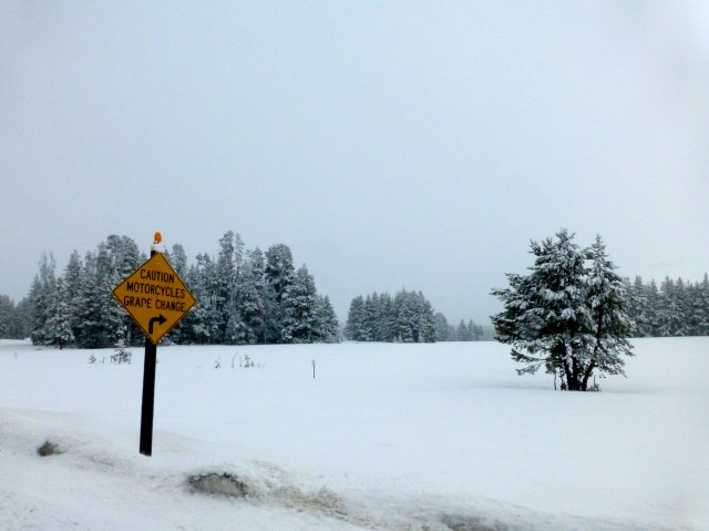 A estrada invadida pela neve.
