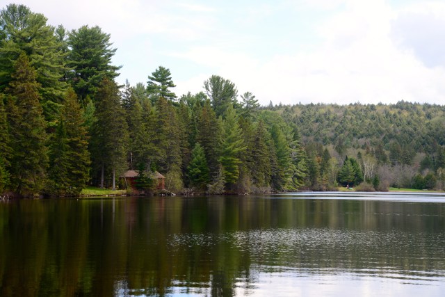 O Algonquin Park é um dos motivos de orgulho dos canadenses.