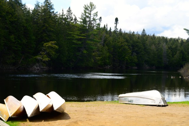 A prática de canoagem é muito popular entre os canadenses.