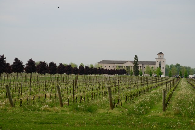 Nas vinícolas de Niagara On The Lake é que se produz o "Icewine".