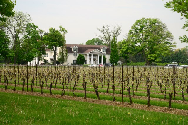 As vinícolas estão por toda parte na estrada entre Niagara on The Lake e Niagara Falls.