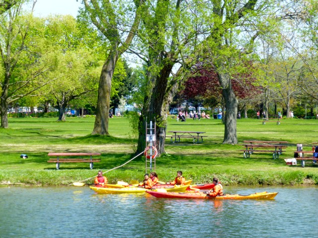 Caiaques no Queen's Quay.
