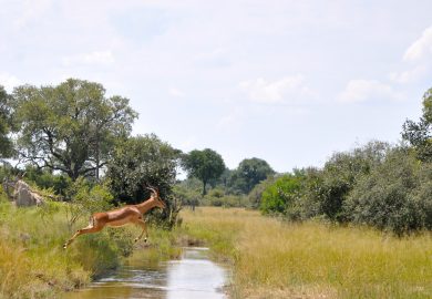Little Vumbura, o coração do Delta do Okavango
