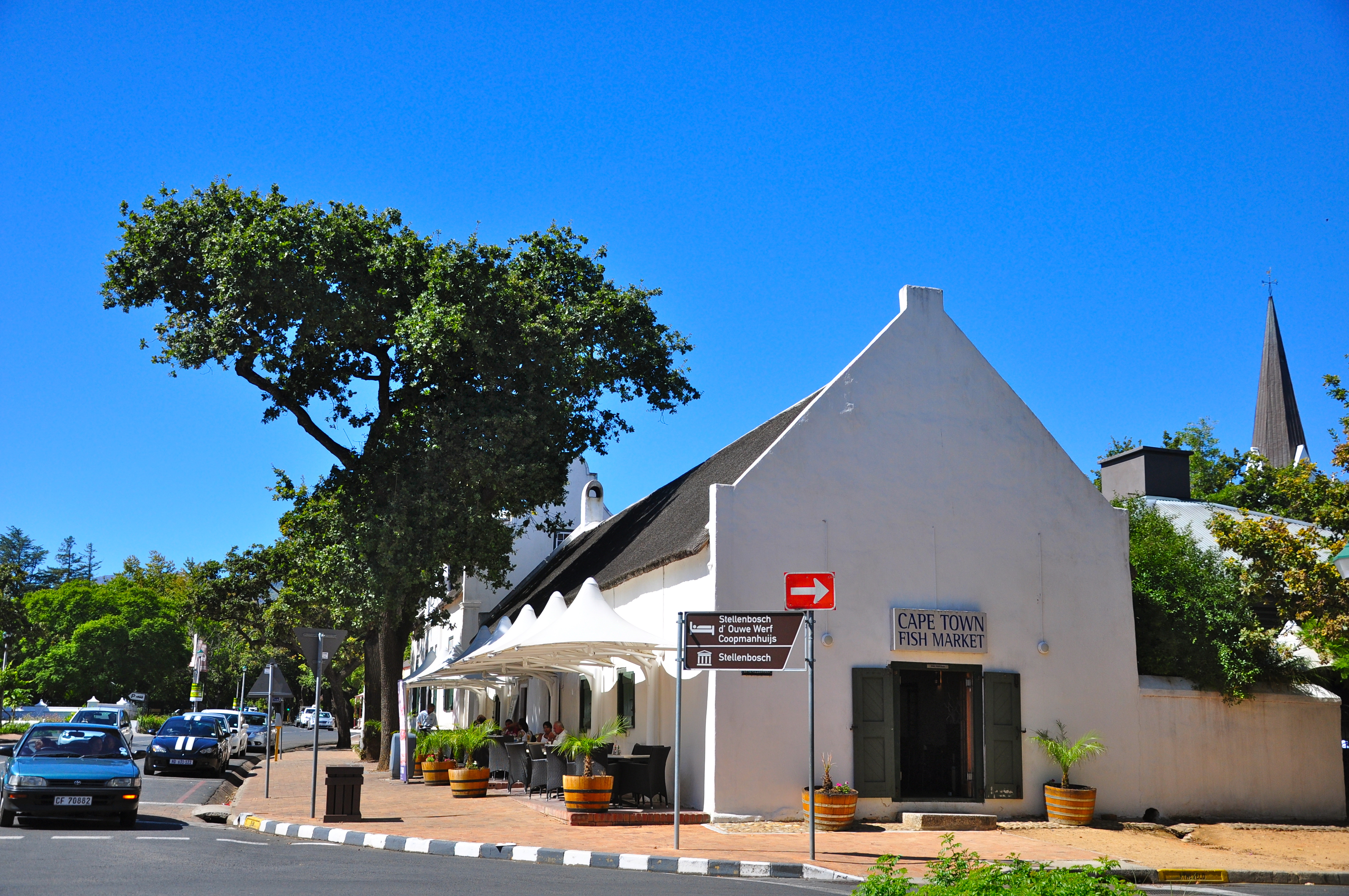 Stellenbosch e os vinhos da África do Sul
