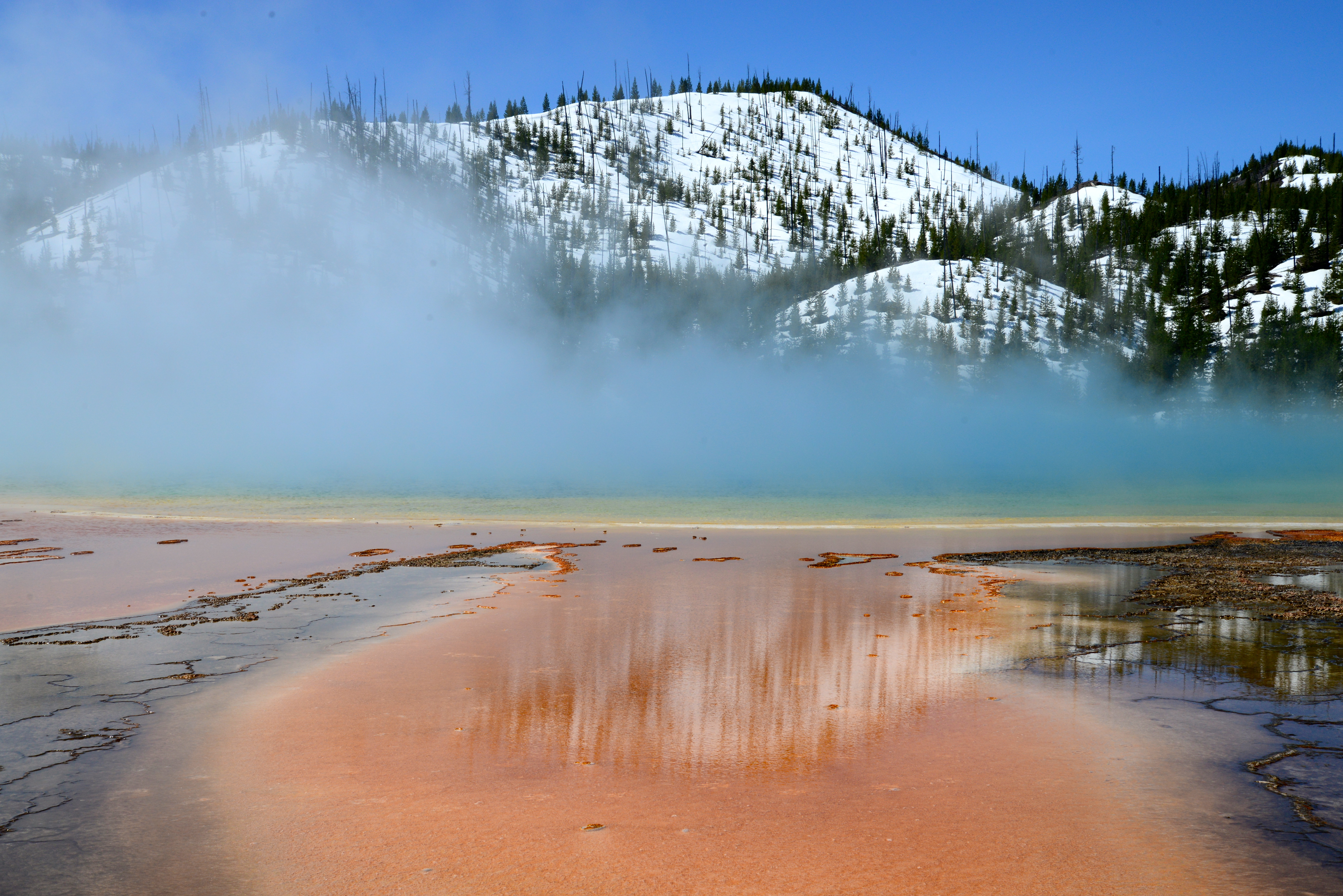 A expectativa sobre o Parque Nacional Yellowstone