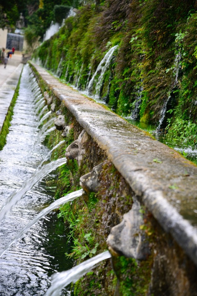 O primeiro conjunto de fontes já impressiona.