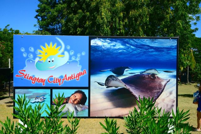 Chegando a Stingray City em Antígua.