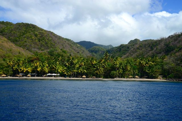 A vegetação tropical domina as paisagens.