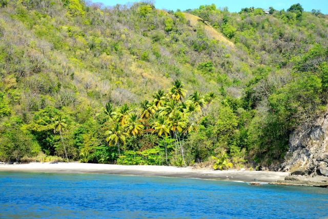 Enseadas e praias paradisíacas aparecem por todos os lados.