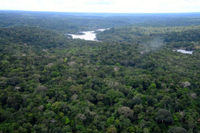 A Floresta Equatorial.