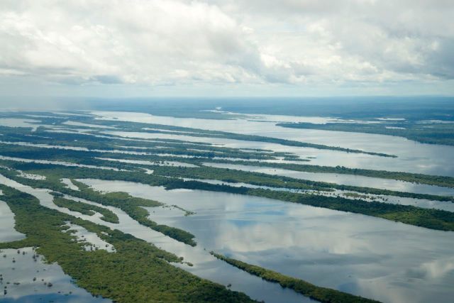 O Arquipélago das Anavilhanas.