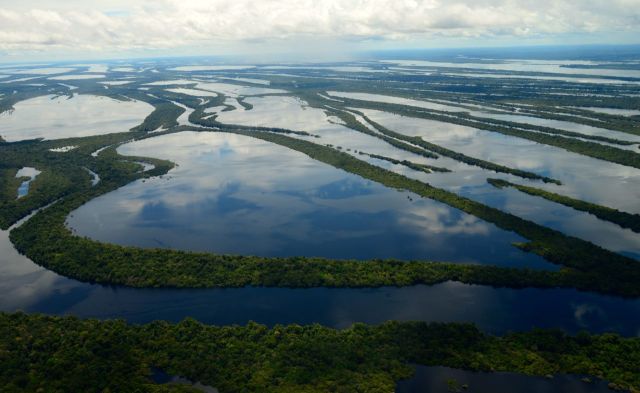 O incrível Arquipélago das Anavilhanas.